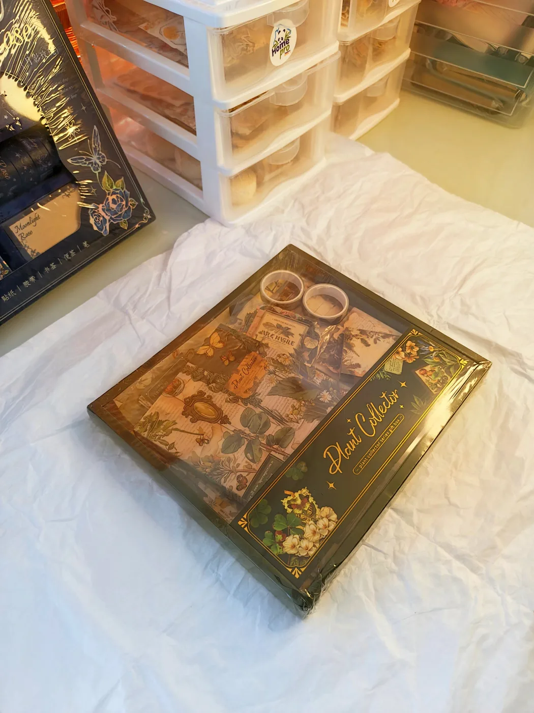 Kit Plant Collector de Dakku: libro A6, tarjetas de cuadros, papel para decorar, notas y stickers con motivo de plantas